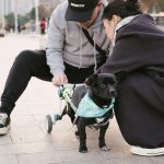 Disability Tax Credit (DTC) Basics